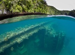Snorkel Palau's Inner Lagoon Wrecks,  Palau