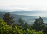 Explore Ouachita National Forest, Arkansas & Oklahoma