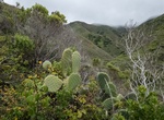 Hike Soberanes Canyon Trail, Garrapata State Park, California