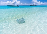 Visit Stingray Observation Point, Fulidhoo Island, Vaavu Atoll, Maldives