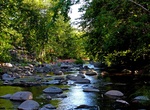 Hike to Wet Beaver Creek, Coconino National Forest, Arizona