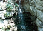 Visit Newsome Sinks Karst Area, Alabama