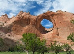 Visit Navajo Nation Zoological and Botanical Park (Window Rock), Arizona