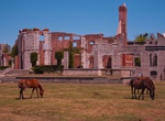 Visit Dungeness Ruins, Cumberland Island National Seashore, Georgia