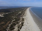 Visit Cumberland Island National Seashore, Georgia
