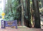 Explore Jedediah Smith Redwoods State Park, California
