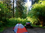 Camp at Elk Prairie Campground, Prairie Creek Redwoods State Park, California