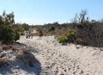 Hike Life of the Dunes Trail, Assateague Island National Seashore, Maryland
