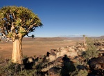 Explore Meerkat National Park, Northern Cape, South Africa