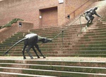 Visit Stubborn Animals Handrail (Karl-Henning Seemann), Schwäbisch Hall, Germany