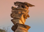 See The Control Tower (Dali Rock), Coyote Buttes South, Arizona