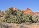 Off-road Cottonwood Spring Road, Coyote Buttes South, Arizona