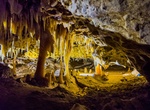 Explore Naracoorte Caves National Park, South Australia (UNESCO site)