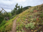 See Scalplock Mountain Fire Lookout, Glacier National Park, Montana