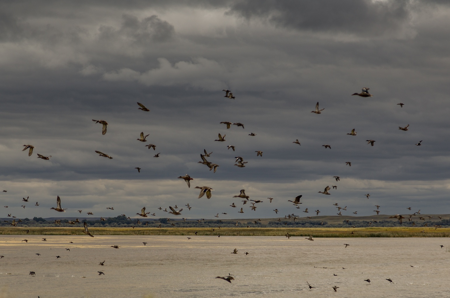 Bowdoin National Wildlife Refuge