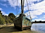 See Portland Shipwreck, Owaka River, Pounawea, New Zealand