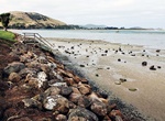 Explore Pounawea Estuary, Owaka River, Pounawea, New Zealand