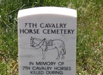 Visit Seventh Cavalry Horse Cemetery, Little Bighorn Battlefield, Montana