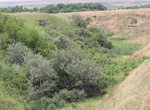 Hike Deep Ravine Trail, Little Bighorn Battlefield, Montana