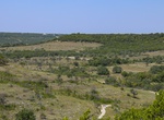 Explore Balcones Canyonlands National Wildlife Refuge, Lago Vista, Texas