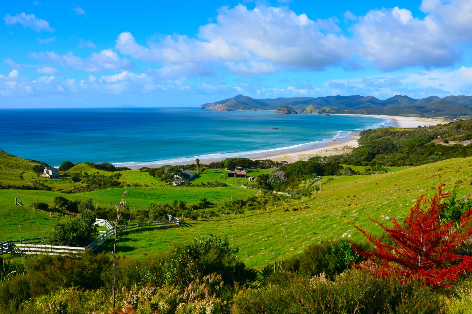 Kaitoke Beach