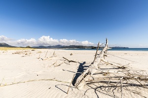 Kaitoke Beach