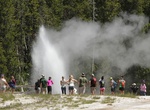 See Aurum Geyser, Upper Geyser Basin, Yellowstone National Park