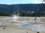 See Cauliflower Geyser, Biscuit Basin, Yellowstone National Park