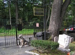 Visit Hartsdale Pet Cemetery, Westchester County, New York