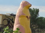 See Giant Prairie Dog, Philip, South Dakota