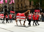 Attend Melbourne Cup Parade, Melbourne, Australia