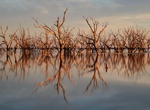 Explore Menindee Lakes, New South Wales, Australia