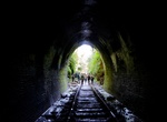 Visit Helensburgh Glow Worm Tunnel, Helensburgh, New South Wales, Australia