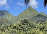 Explore Carbet Mountains (Pitons Du Carbet), Martinique