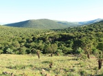 Explore Babanango Game Reserve, KwaZulu-Natal, South Africa