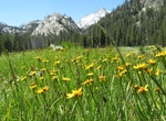Camp at Leavitt Meadows Campground, Mono County, California