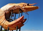 See The Big Prawn in Ballina, New South Wales