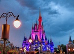 Visit all Walt Disney Parks and Resorts