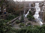 Explore Waterfall Garden Park, Seattle, Washington