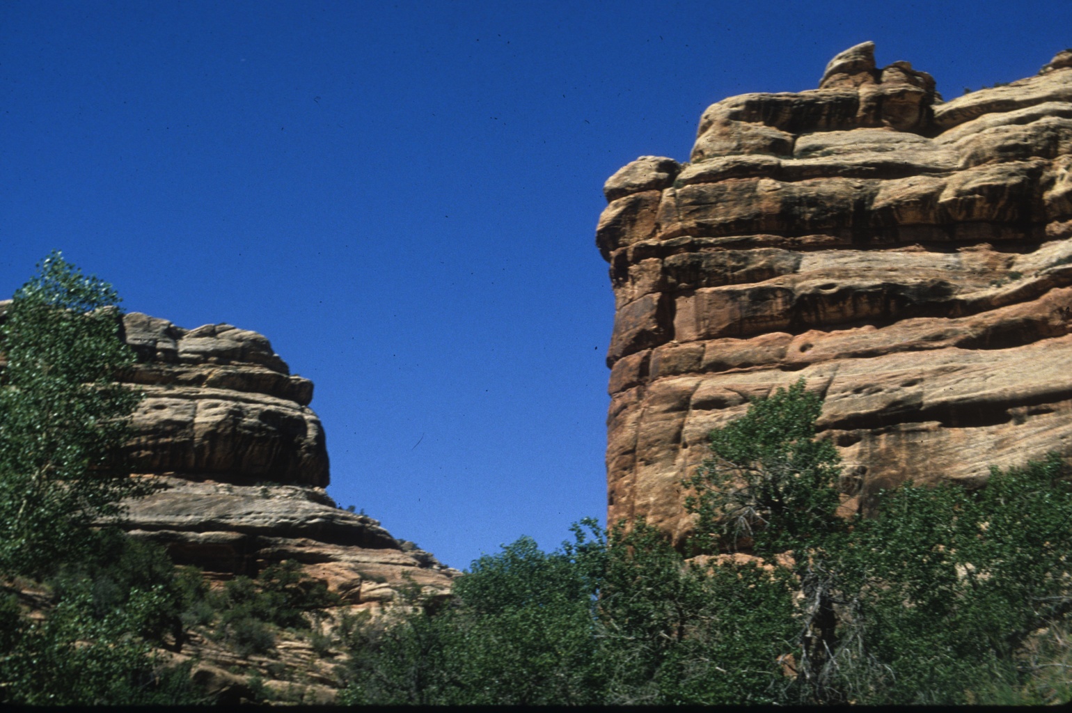 Split Level & Road House Ruins