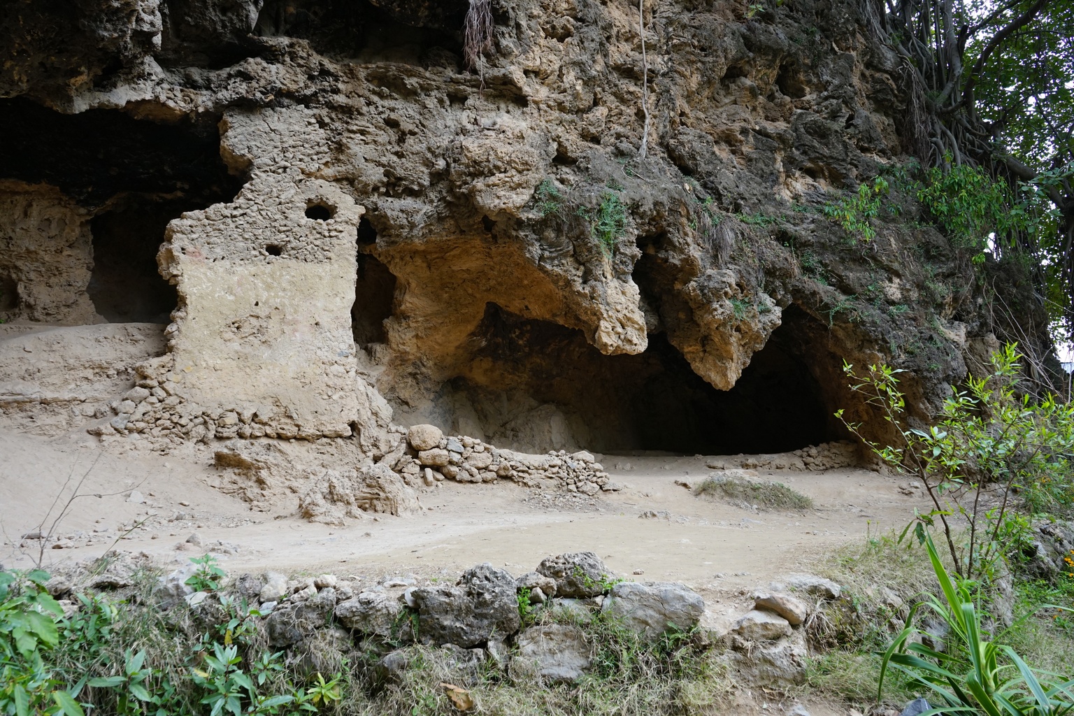 Shah Allah Ditta