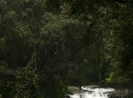 See Lakkom Falls, Kerala