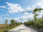 Drive Loop Road Scenic Drive, Ochopee, Florida