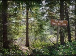 Hike, Ski or Ride Pig Iron Trail, Oregon