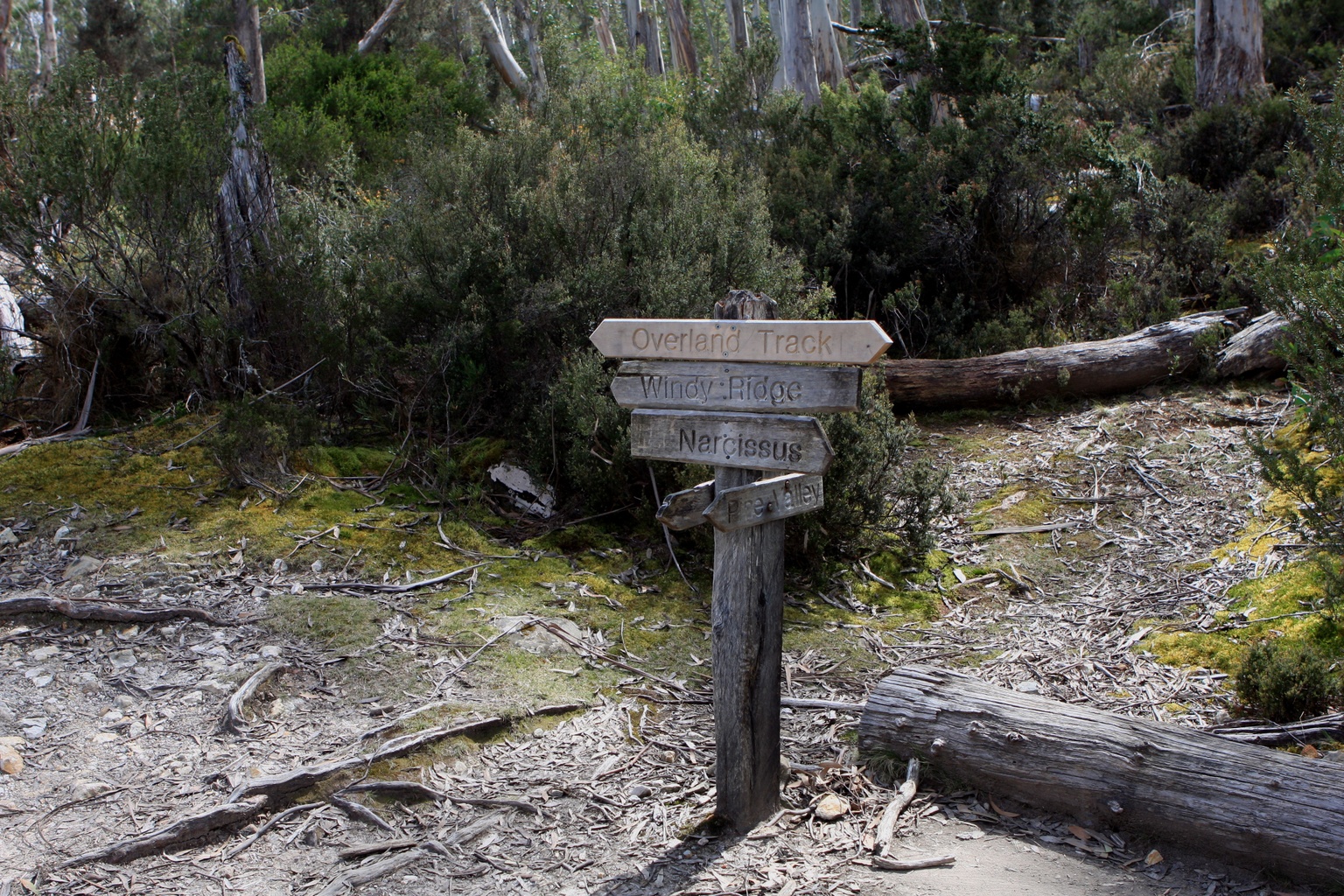Things to do for Trek Overland Track