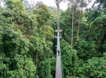 Explore Danum Valley, Borneo, Malaysia
