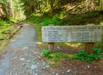 Hike East Fork Quinault River Trail to Enchanted Valley, Olympic National Park, Washington