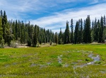 Visit Halstead Meadow, Sequoia National Park, California