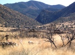 Explore Dragoon Springs Stage Station Site, Cochise County, Arizona