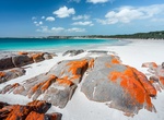 Visit Dolphin Beach (Innes National Park), South Australia